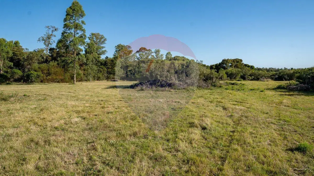 Chacra en venta con vista a las sierras, Maldonado 4