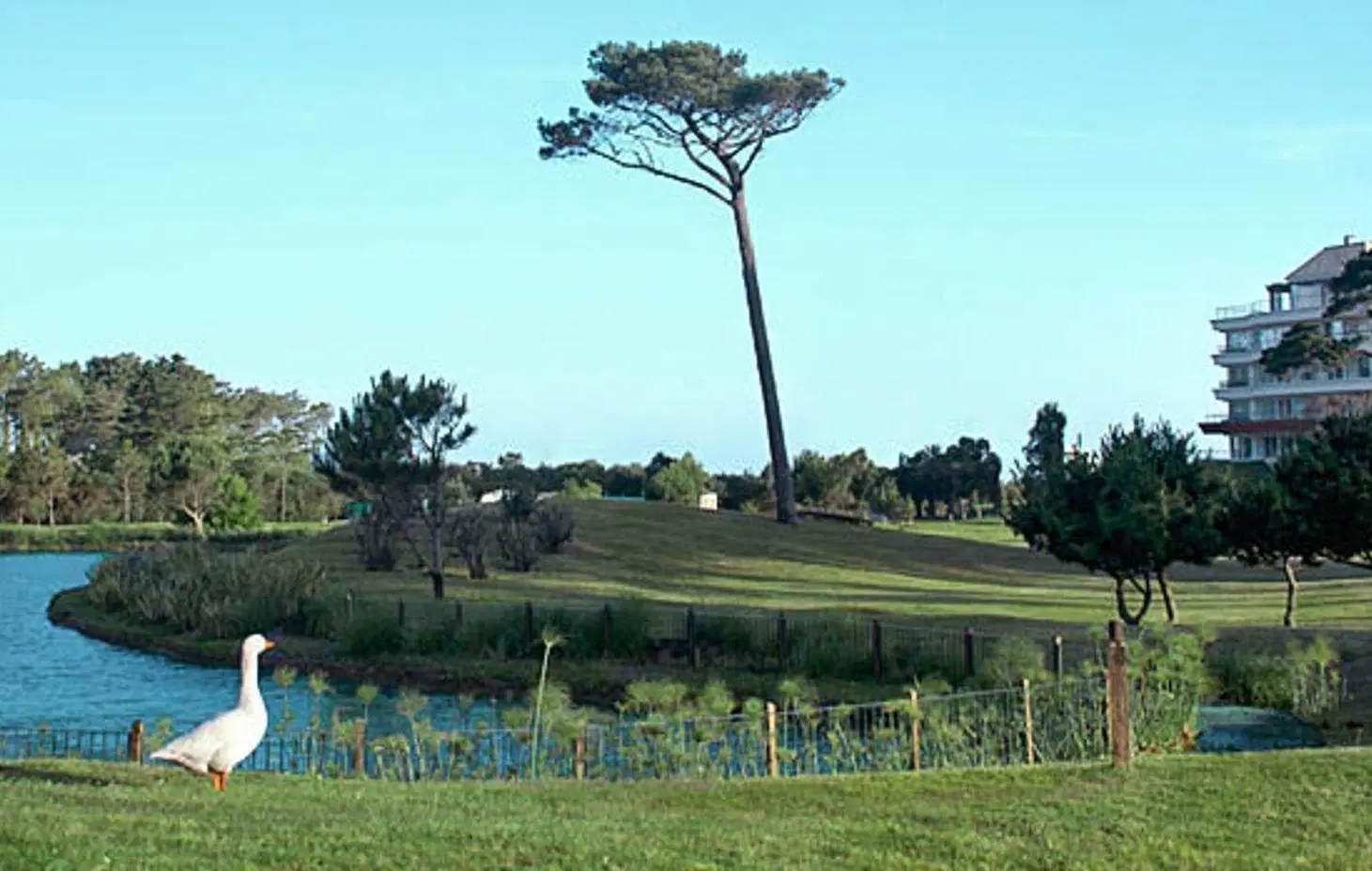 Venta Lotes Veramansa 2