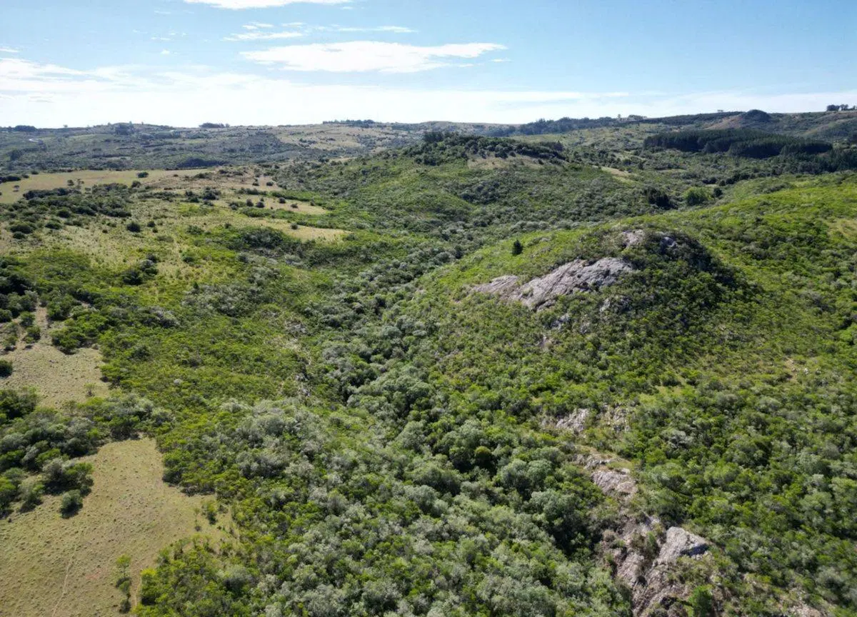 Campo en venta. Zona Pueblo Edén 1
