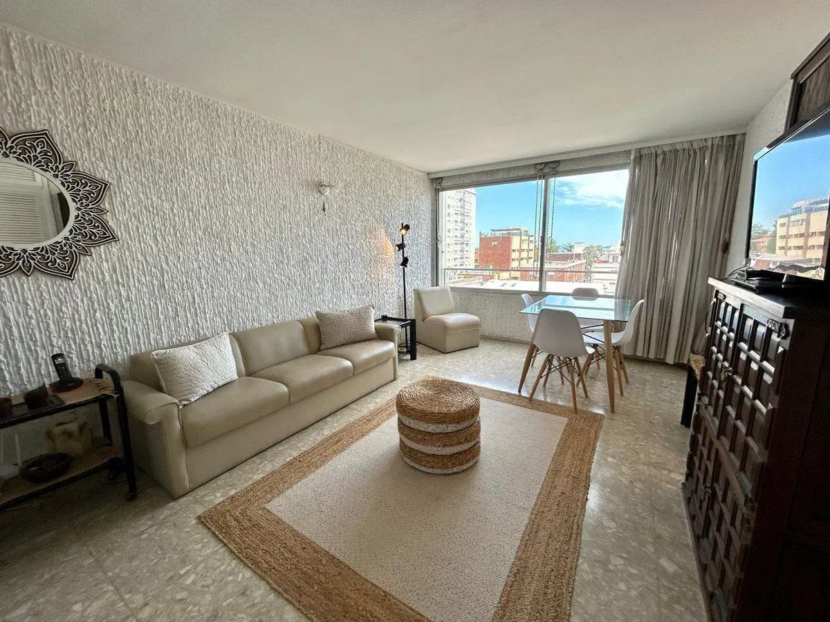 VENTA APARTAMENTO 1 DORMITORIO Y MEDIO PENINSULA 2