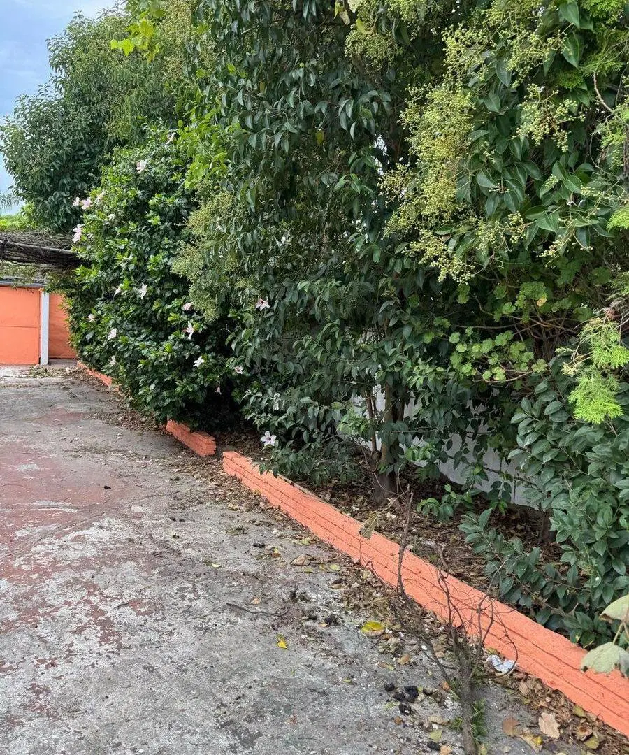 Casa 3 dormitorios, apartamento al fondo Maldonado 1