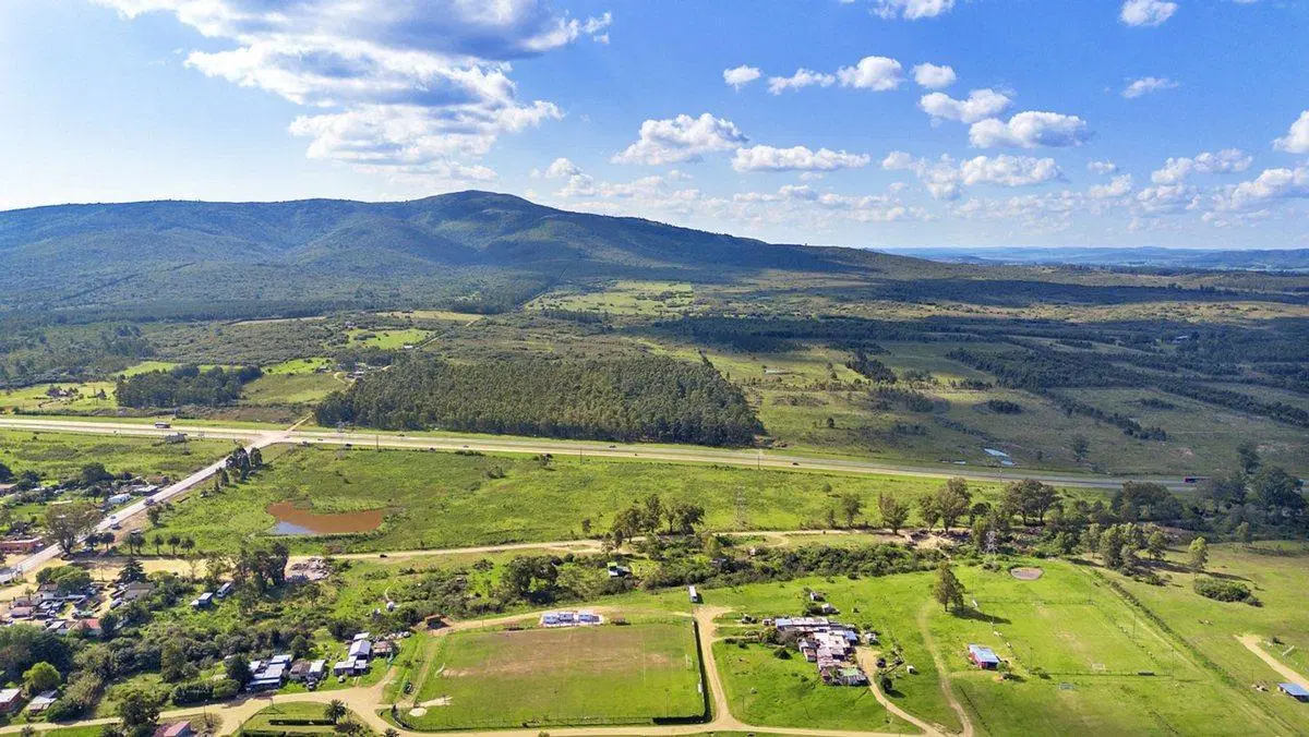 Chacra 9 ha en venta sobre Ruta IB con renta anual 2