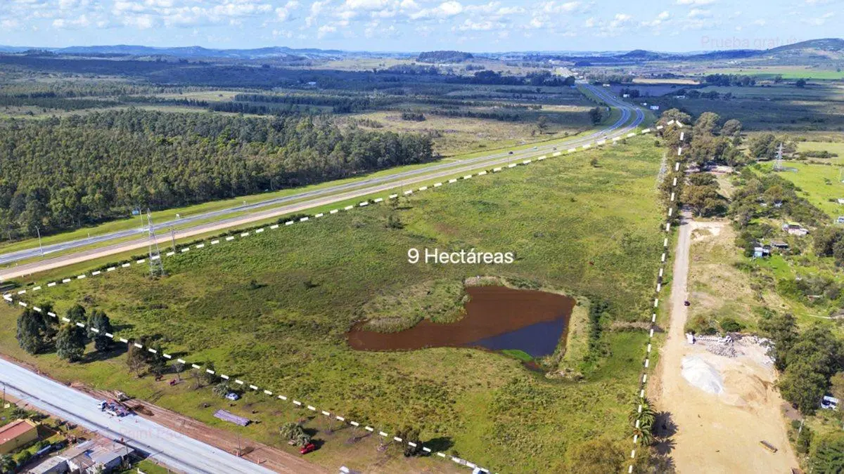 Chacra 9 ha en venta sobre Ruta IB con renta anual 4
