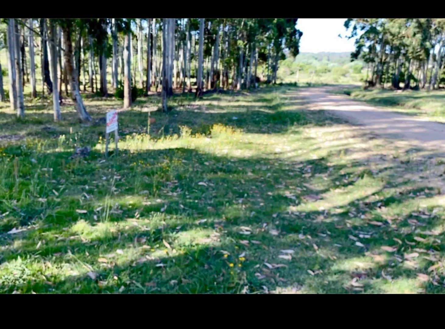 Excelente lote en chacras del Pinar 4