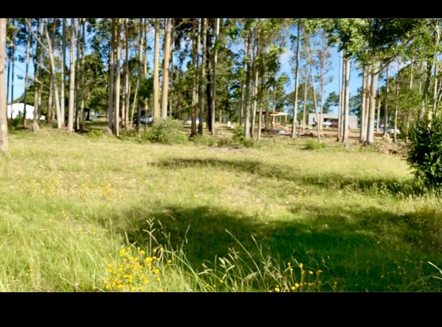 Excelente lote en chacras del Pinar 3