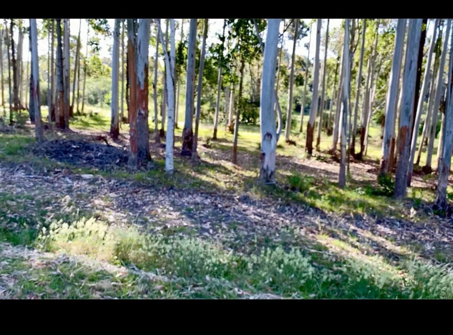 Excelente lote en chacras del Pinar 2