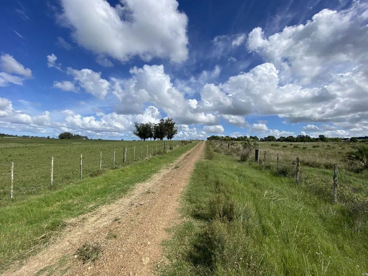 Venta Chacra  10 hectáreas Ruta 104 Manantiales 2