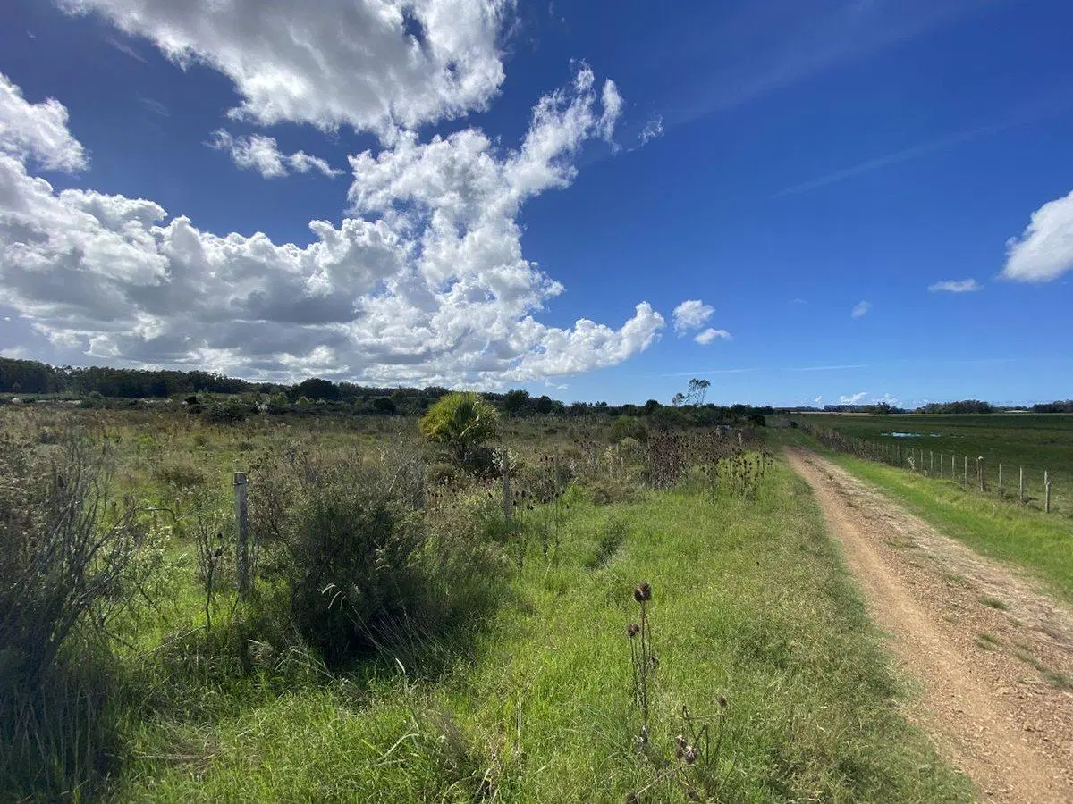 Venta Chacra  10 hectáreas Ruta 104 Manantiales 5