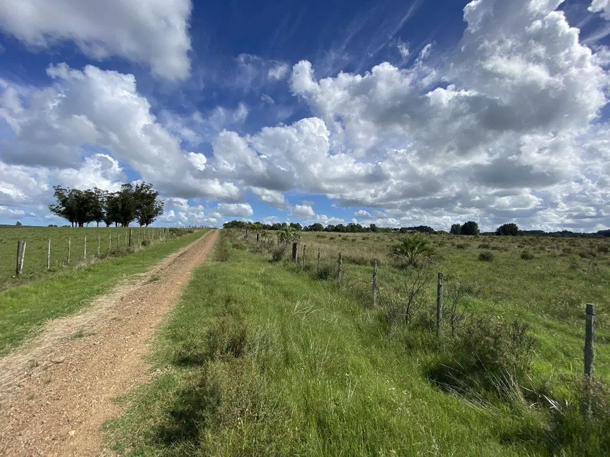 Venta Chacra  10 hectáreas Ruta 104 Manantiales 3
