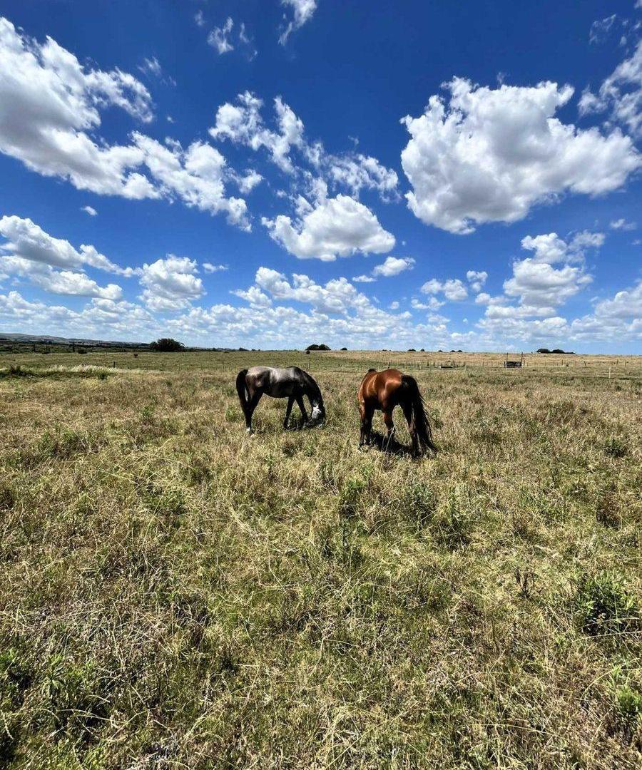 Campo 71 ha con costa de arroyo – Maldonado