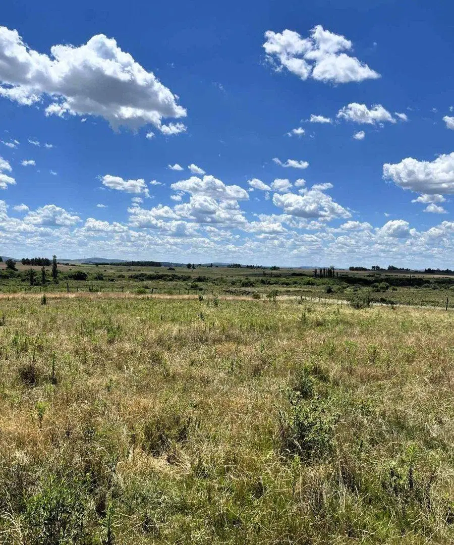 Campo 71 ha con costa de arroyo – Maldonado 4