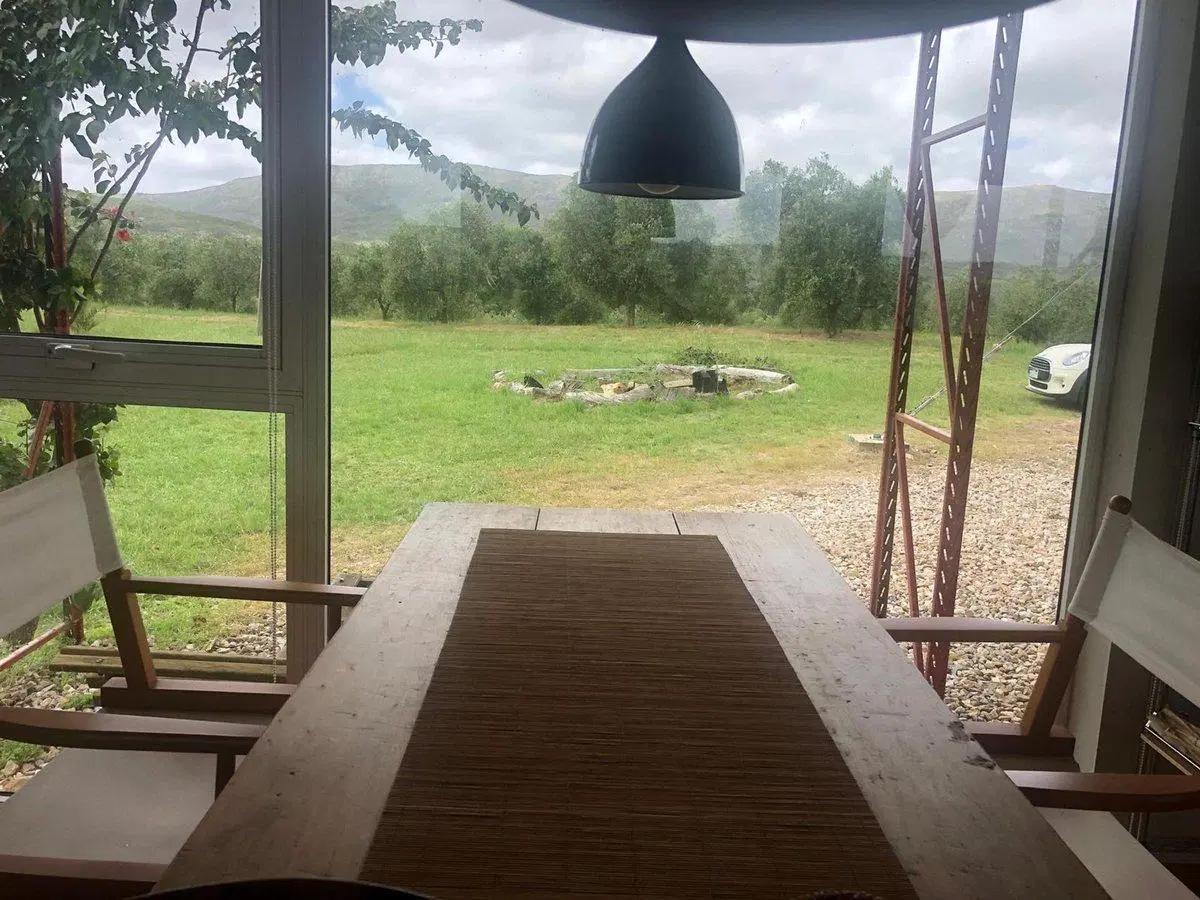 Campo de 43 hectareas con plantacion de Olivos de 5