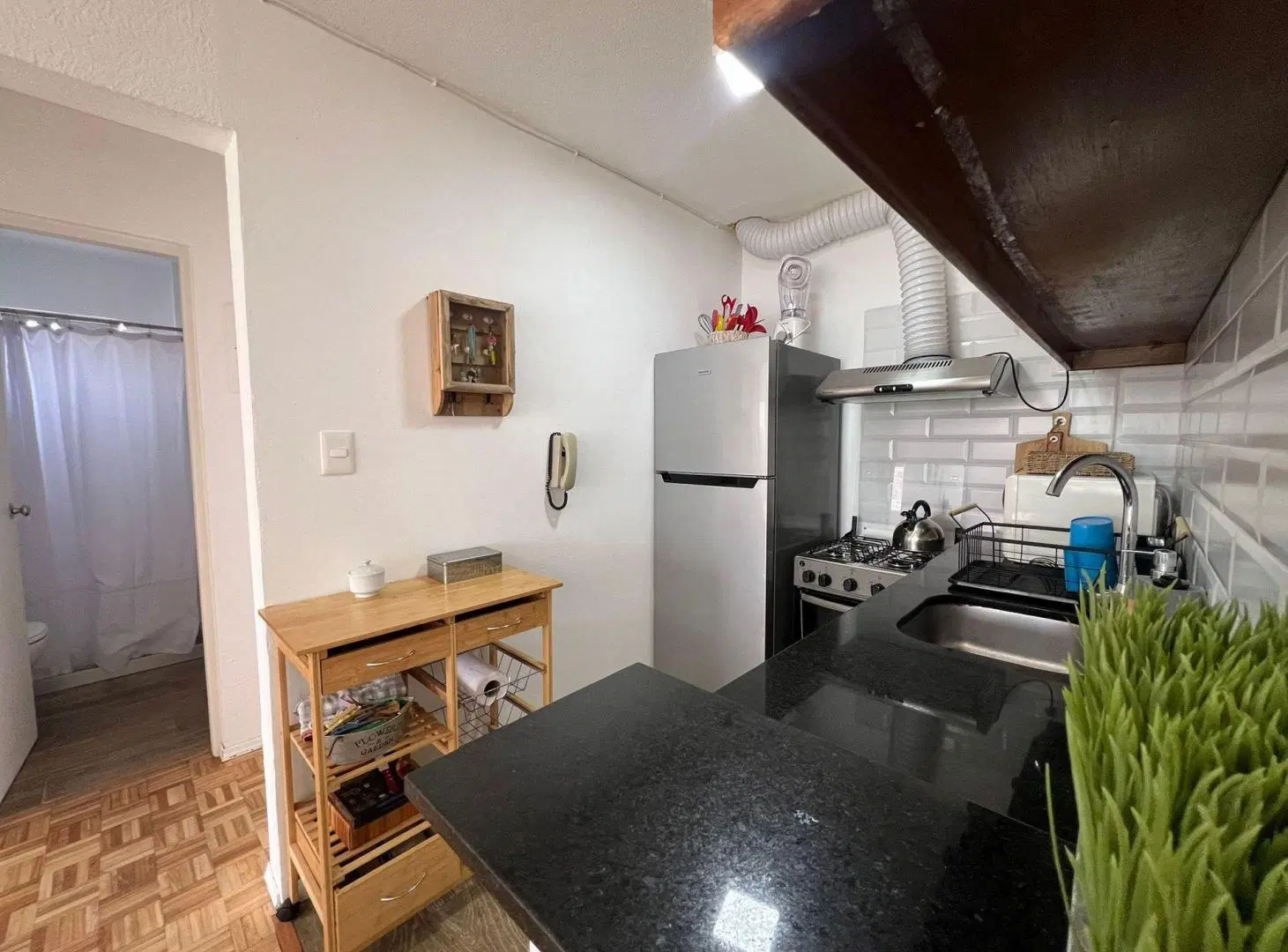 Alquiler invernal 2 dorm, 2 baños Punta del Este 3