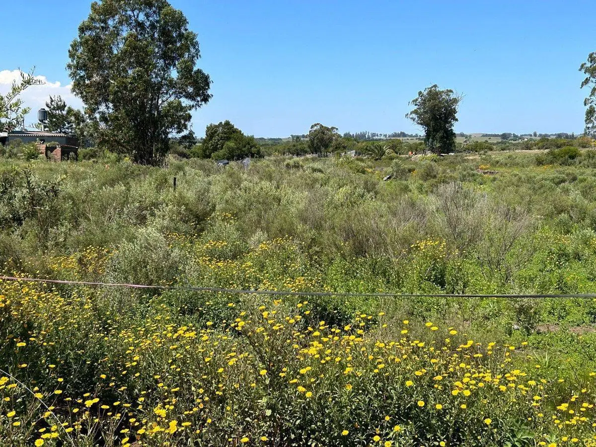 VENTA DE TERRENO SAN CARLOS MALDONADO 3