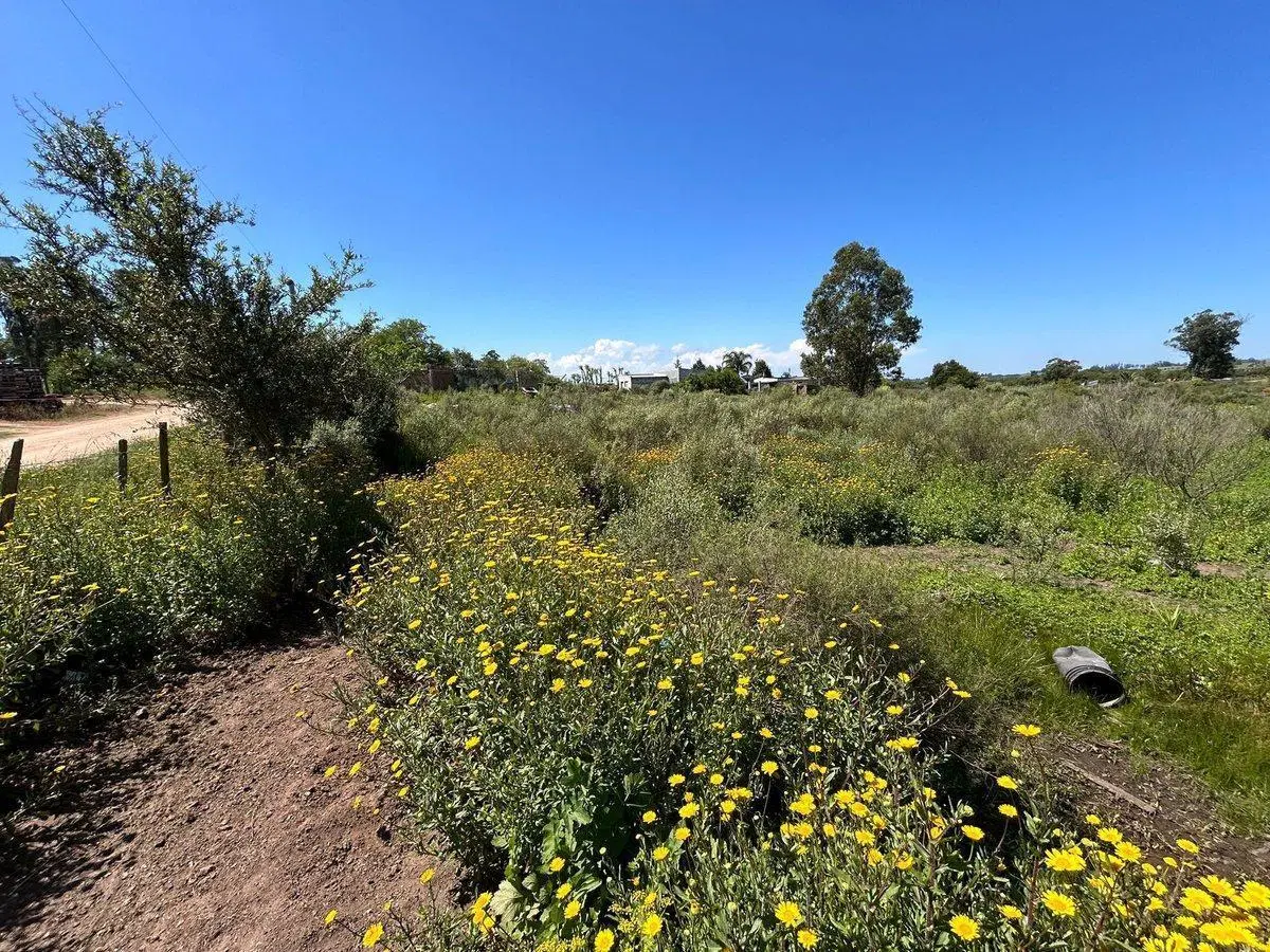 VENTA DE TERRENO SAN CARLOS MALDONADO 2