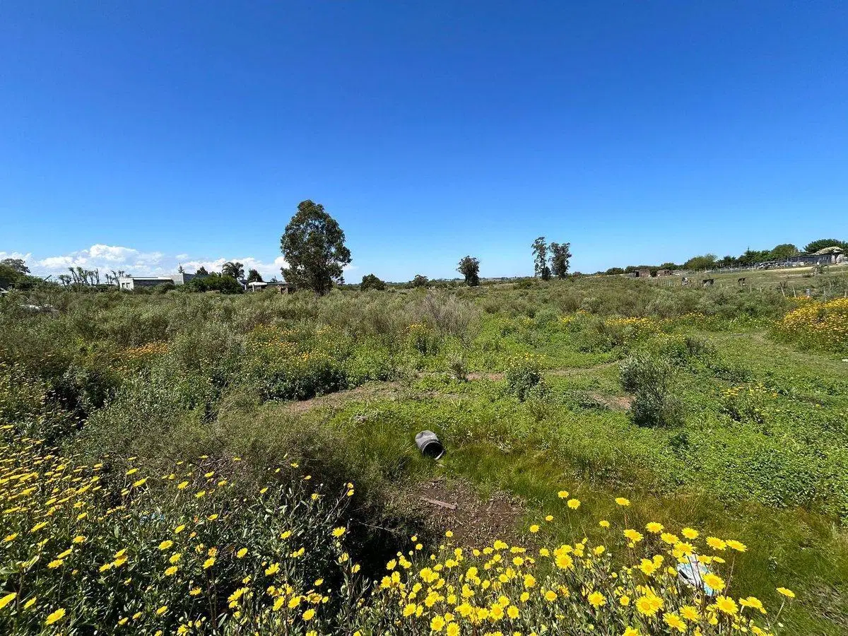 VENTA DE TERRENO SAN CARLOS MALDONADO 4