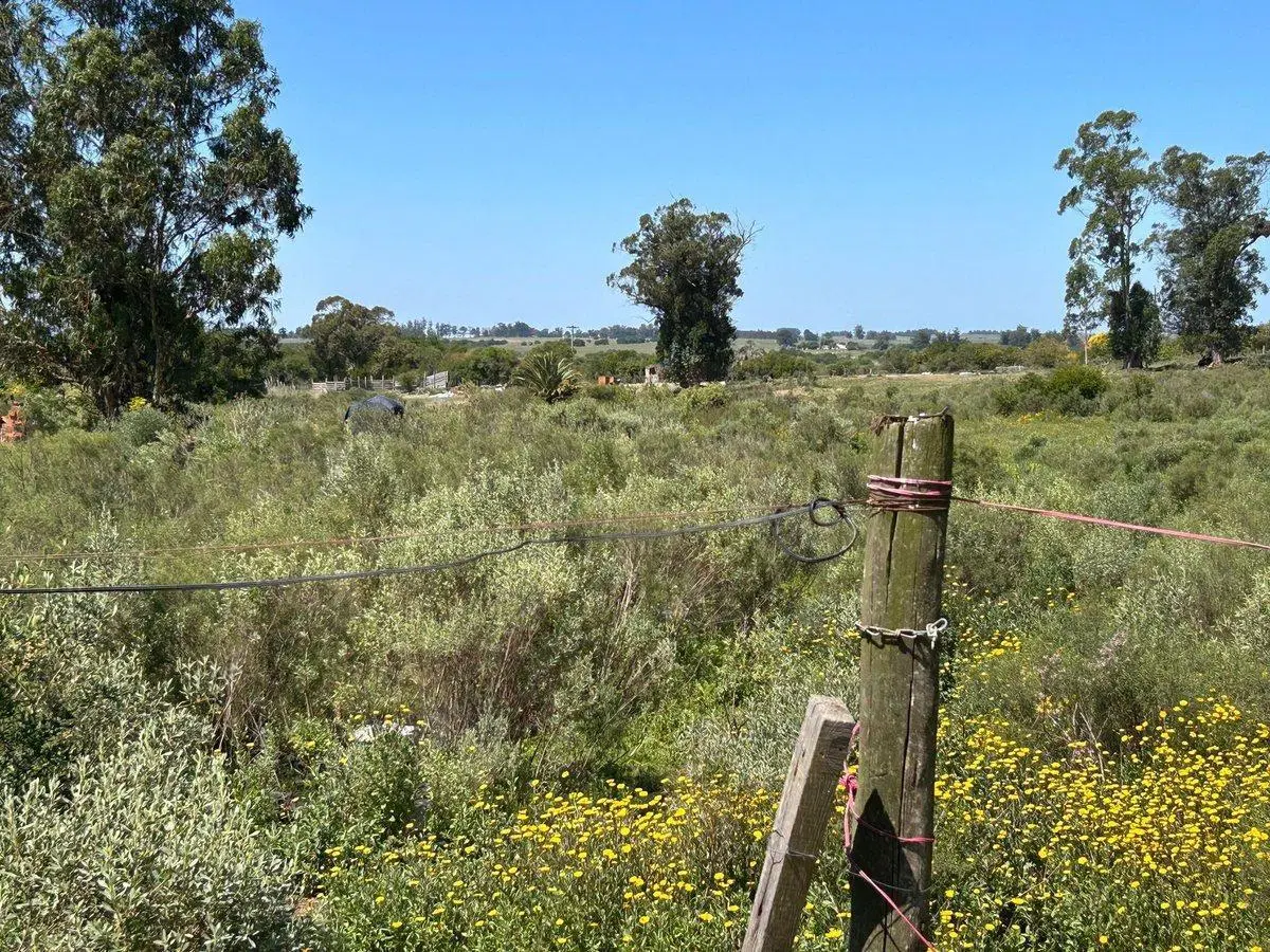 VENTA DE TERRENO SAN CARLOS MALDONADO 5