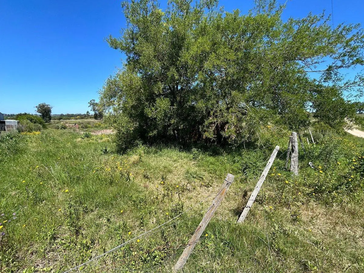 VENTA DE TERRENO SAN CARLOS MALDONADO 1