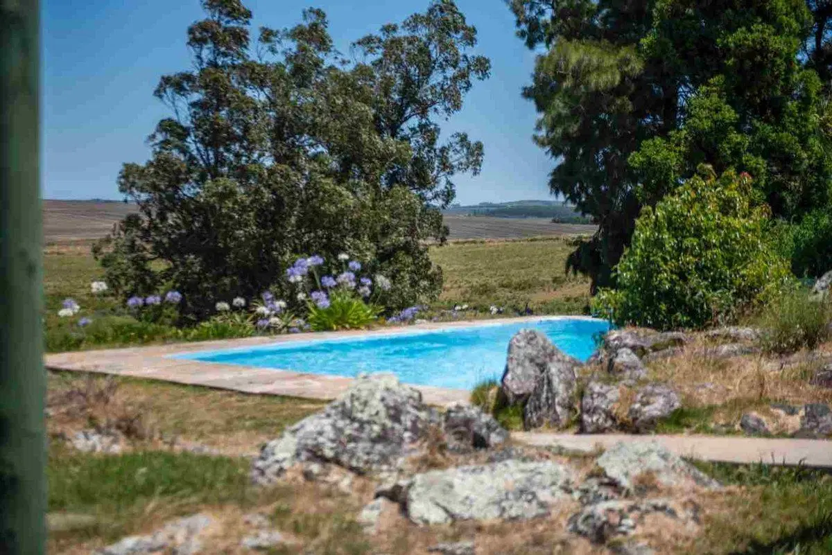 Chacra 20 hectáreas, en venta en laguna del sauce 5
