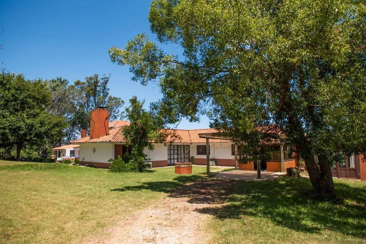 Chacra 20 hectáreas, en venta en laguna del sauce 8