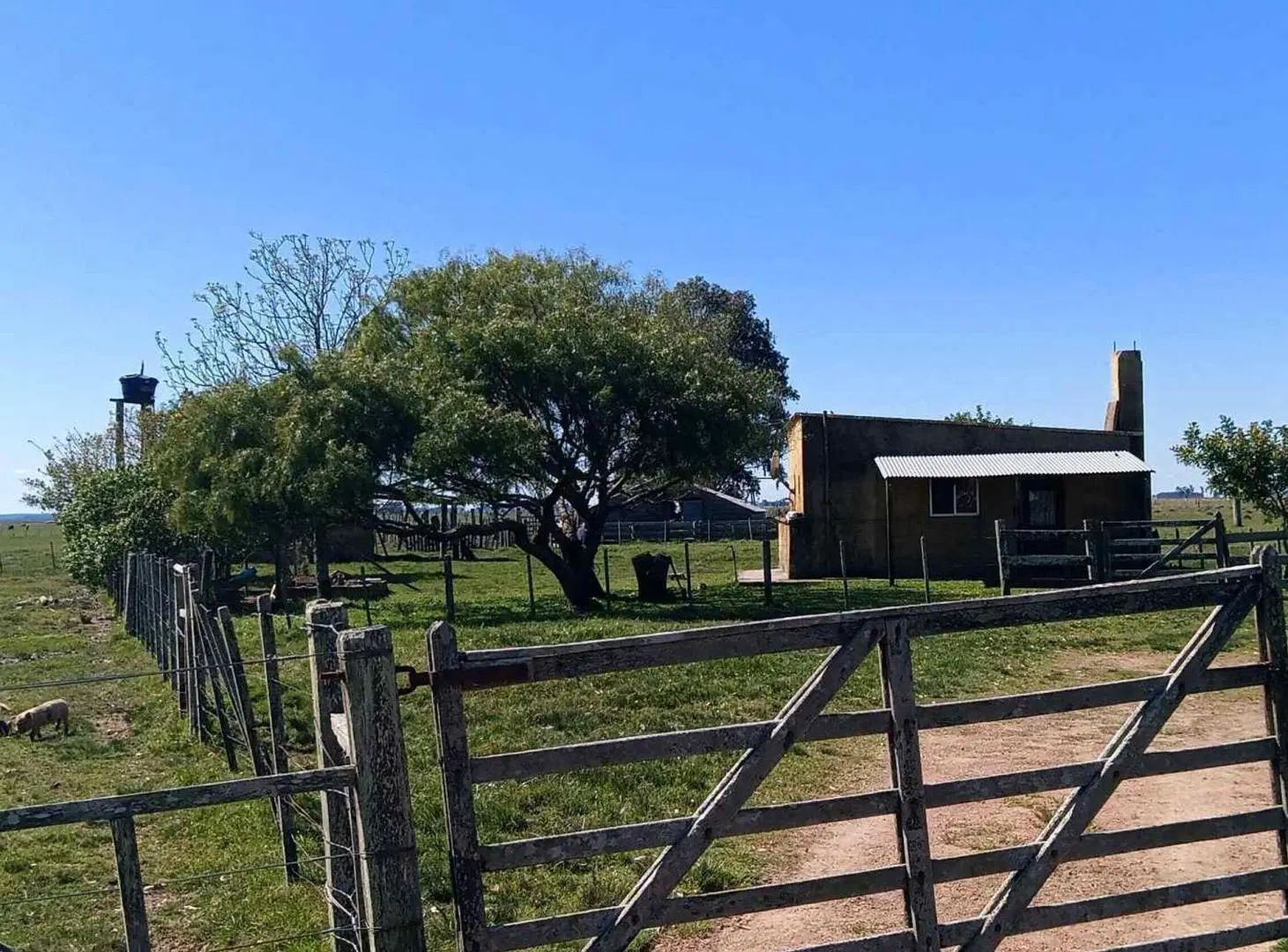 CAMPO EN VENTA URUGUAY 4