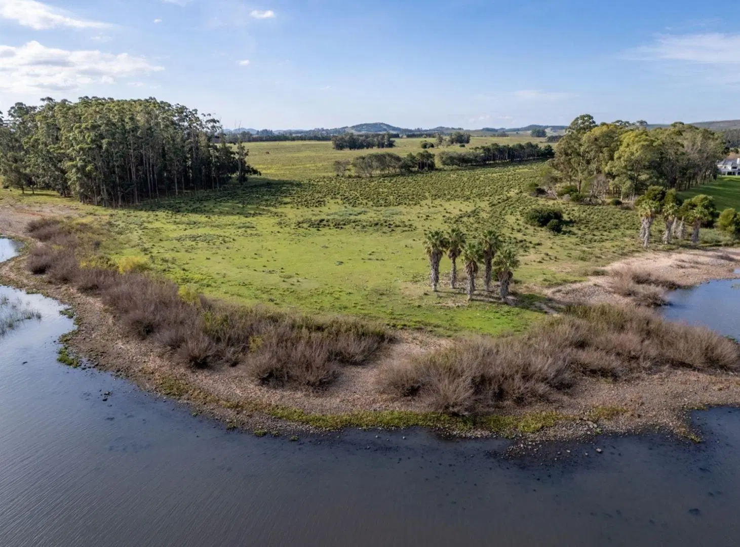 Chacra de 11 hectáreas, venta en laguna del sauce 4