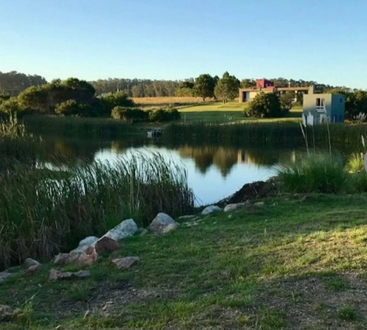 LOTE EN VENTA LA PEDRERA ROCHA 3