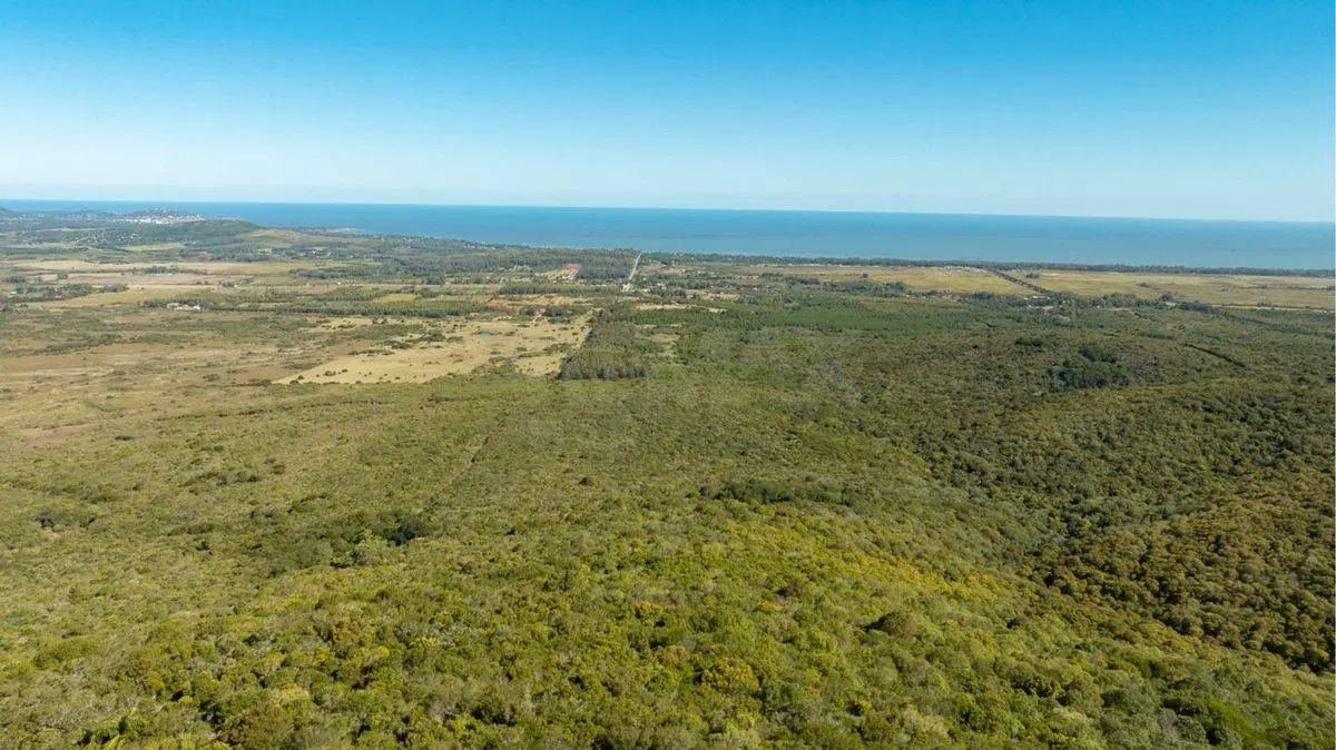 Campo en Venta en Sierra de las Ánimas, Ladera sur 2