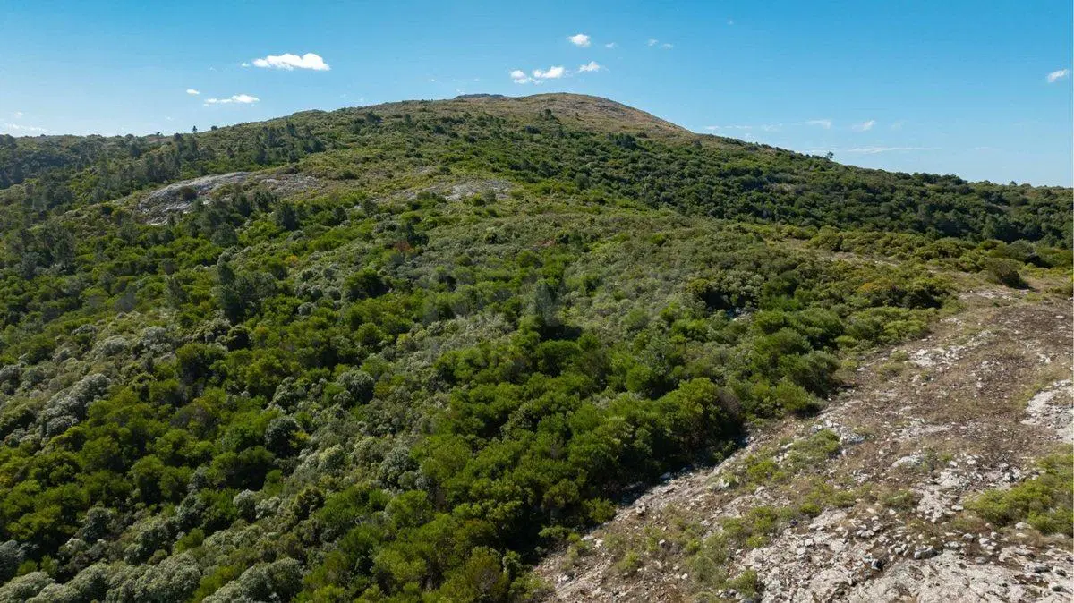 Campo en Venta en Sierra de las Ánimas, Ladera sur 5