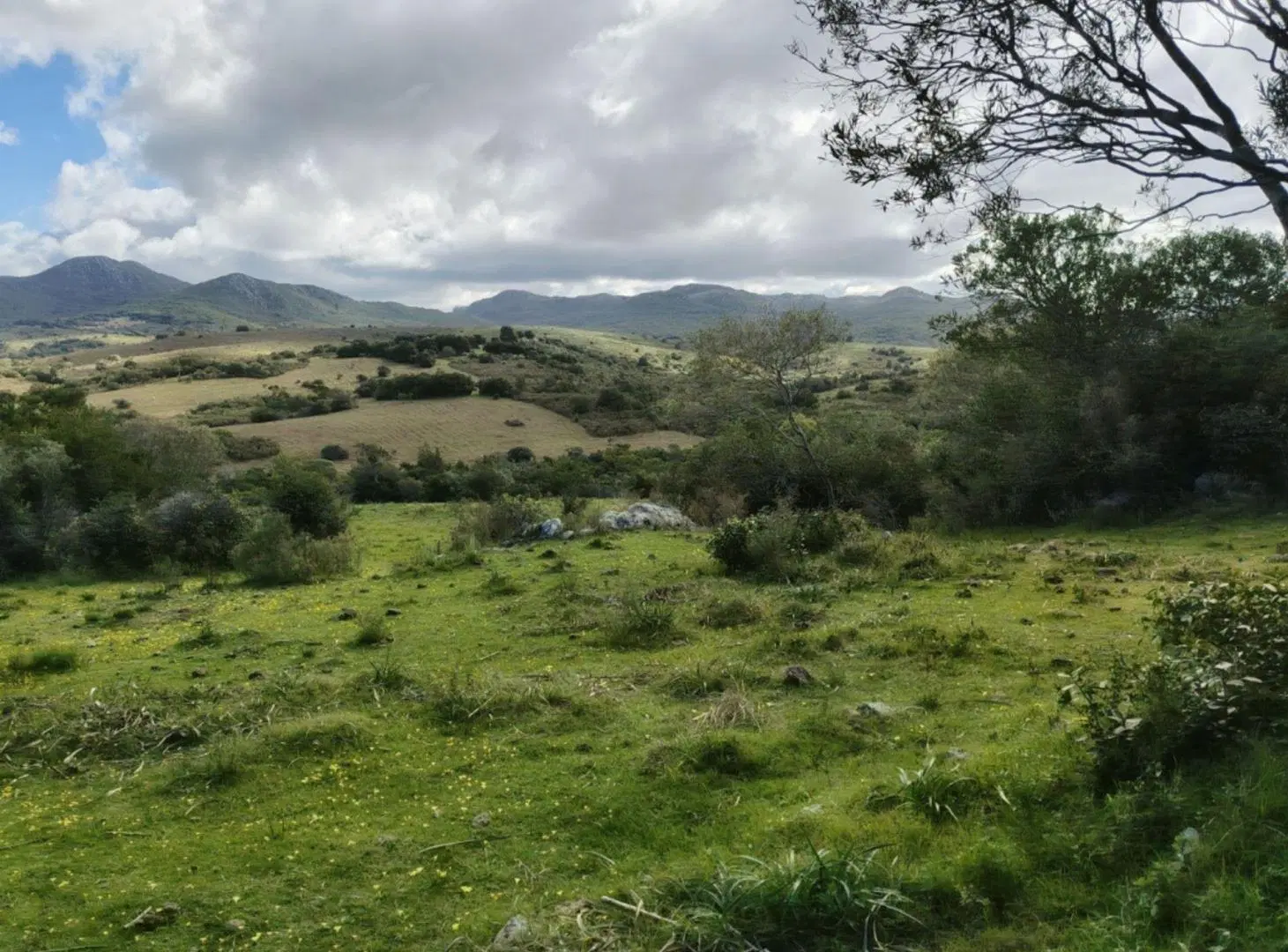 Chacra en Venta entre Ruta 12 y Ruta 60 5