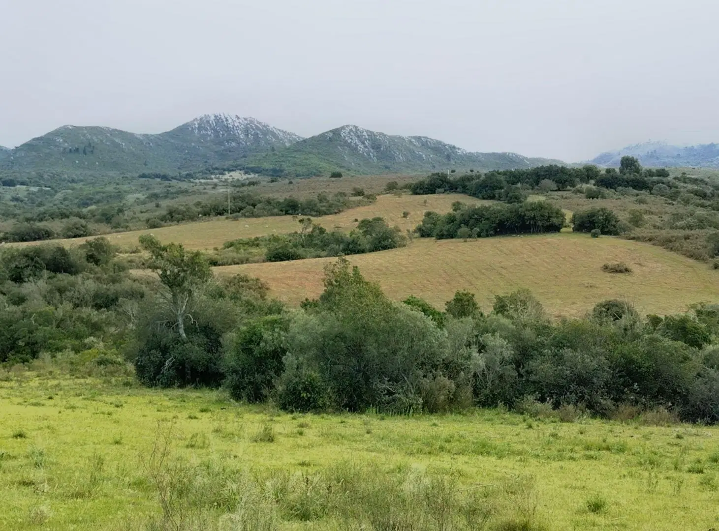 Chacra en Venta entre Ruta 12 y Ruta 60 5