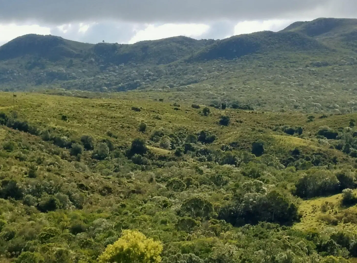 Chacra en Venta entre Ruta 12 y Ruta 60 3