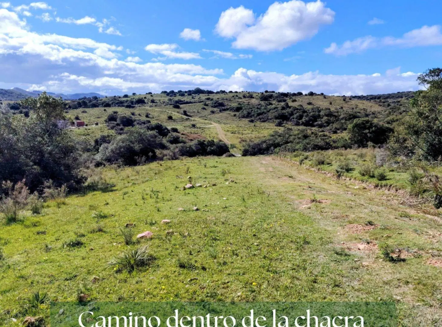 Chacra en Venta entre Ruta 12 y Ruta 60 2