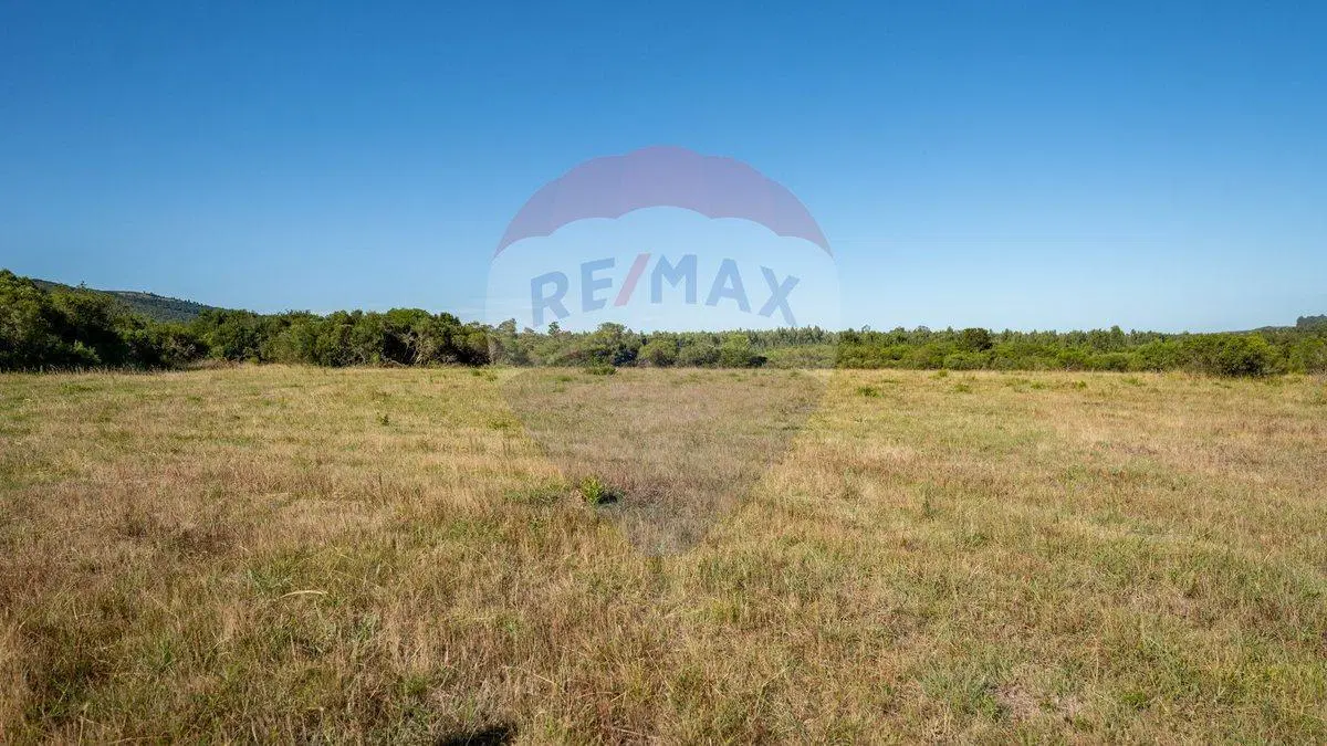 Chacra Marítima en venta - Las Flores 8