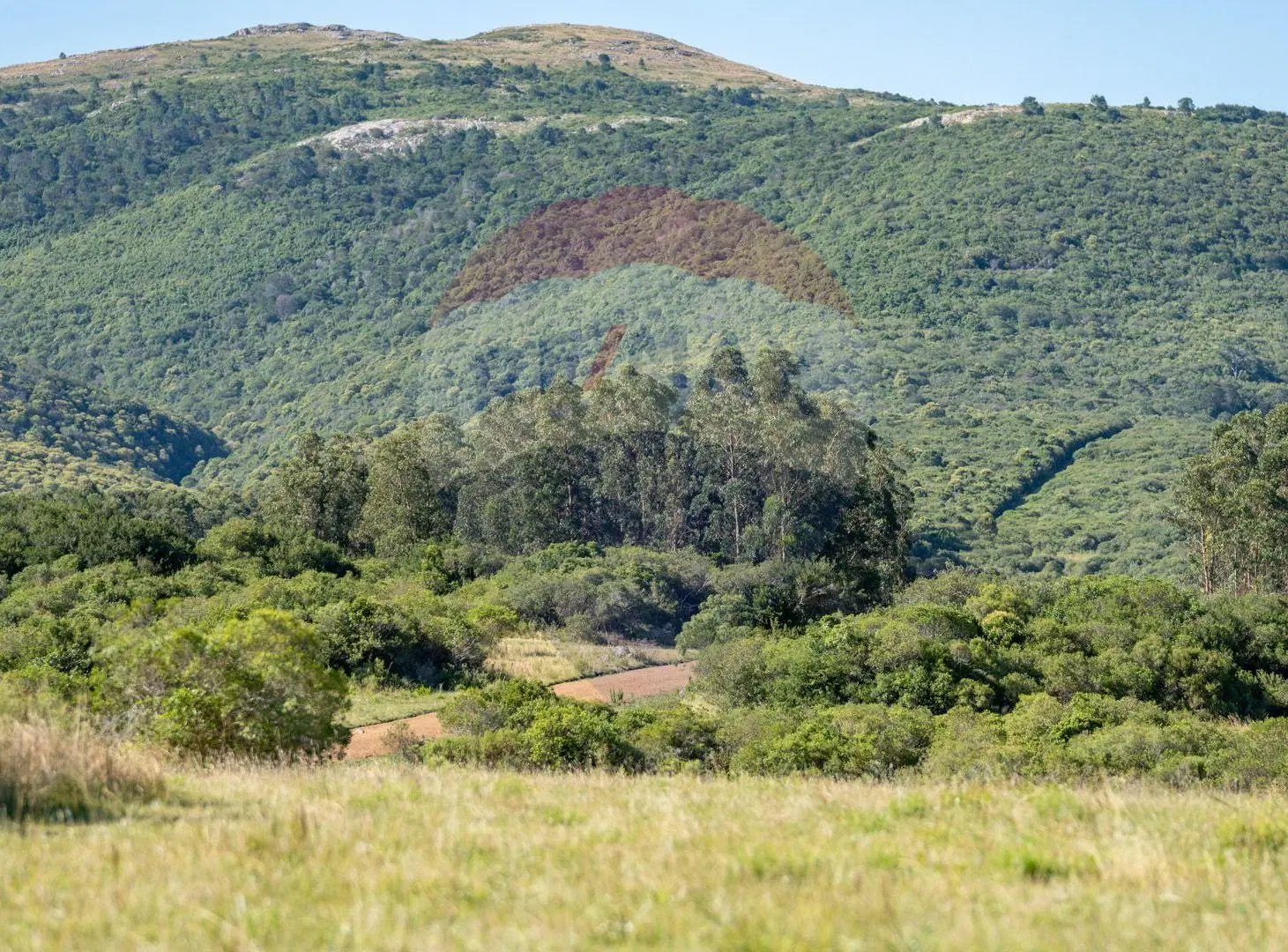 Chacra en venta con vista a las sierras Piriápolis 5