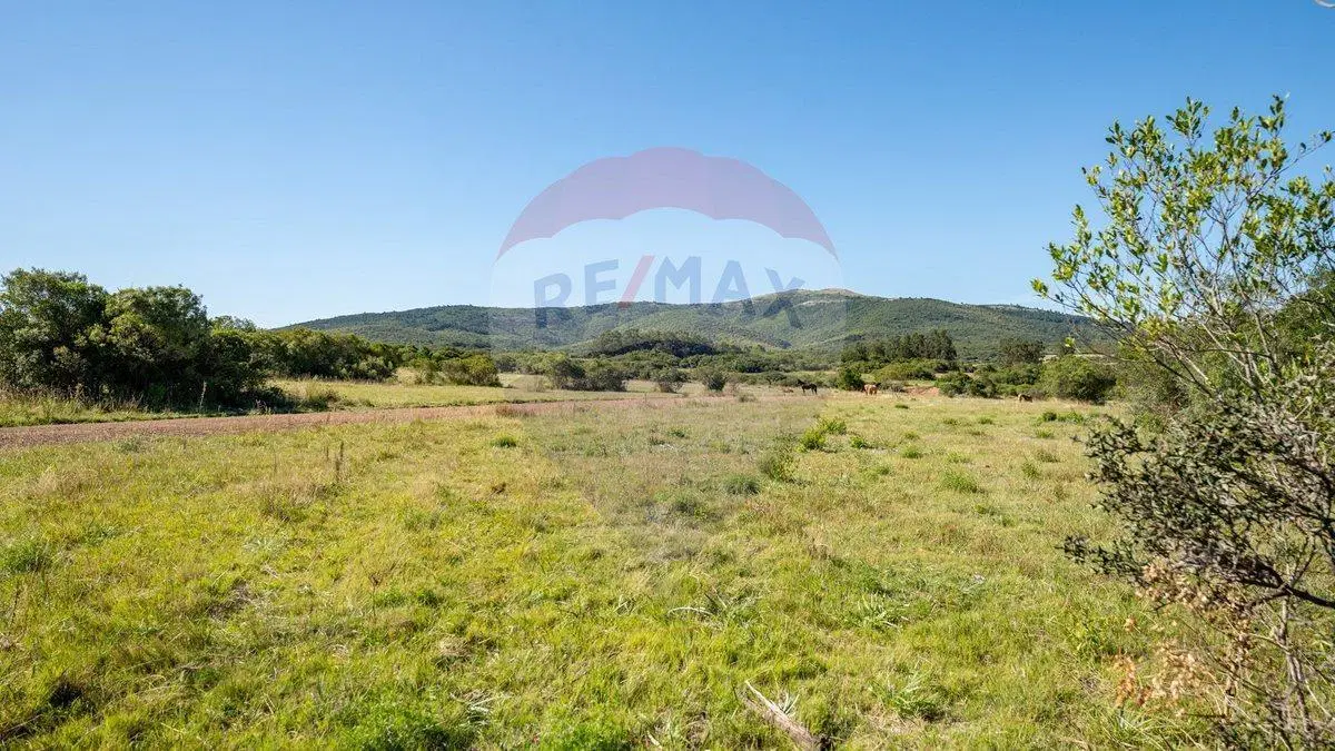 Chacra en venta en las sierras - Oportunidad !! 2