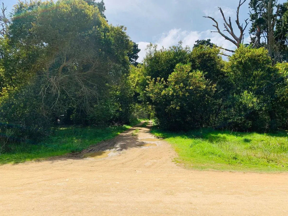 Venta Lote Rocha Santa Isabel de la Pedrera 4