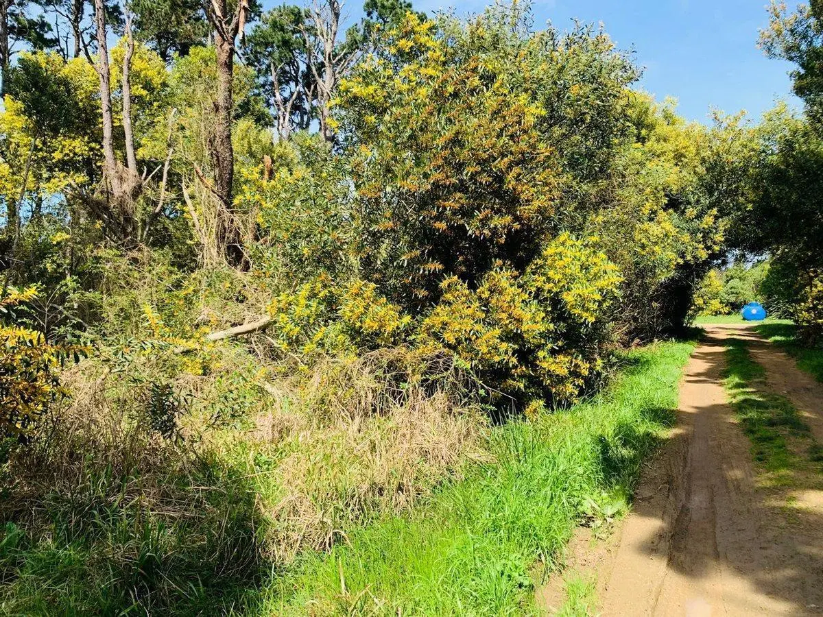 Venta Lote Rocha Santa Isabel de la Pedrera 8