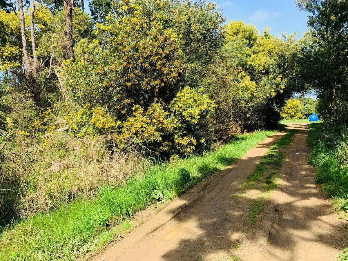 Venta Lote Rocha Santa Isabel de la Pedrera 3