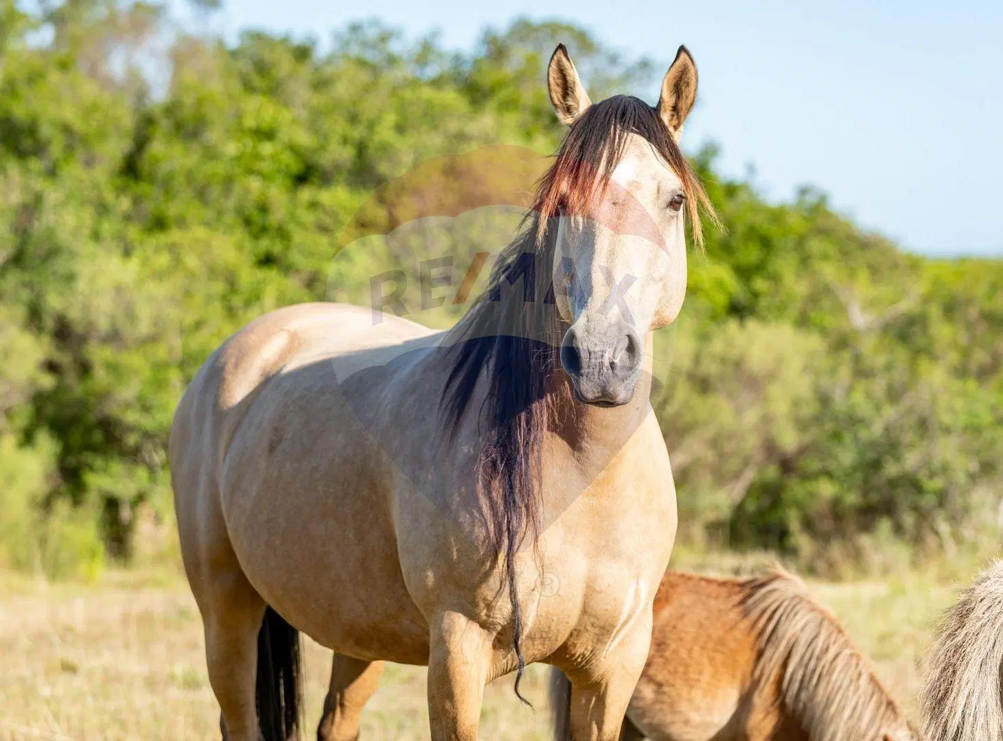 Chacra en venta con vista a las sierras Piriápolis 4