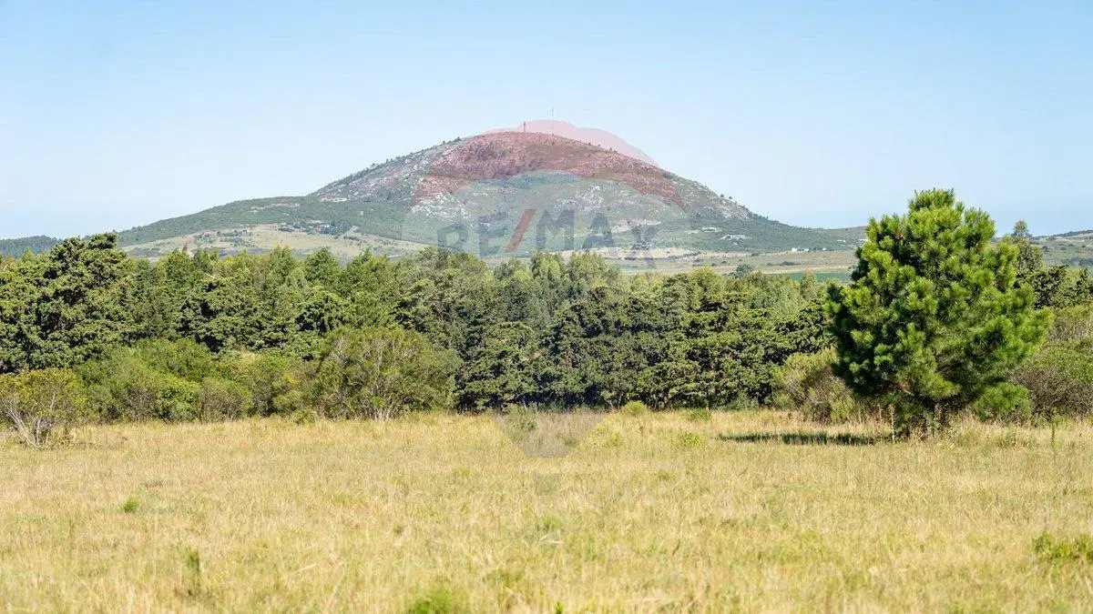 Chacra en venta en las sierras - Oportunidad !! 5