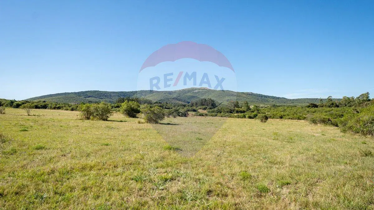 Chacra en venta en las sierras - Oportunidad !! 4
