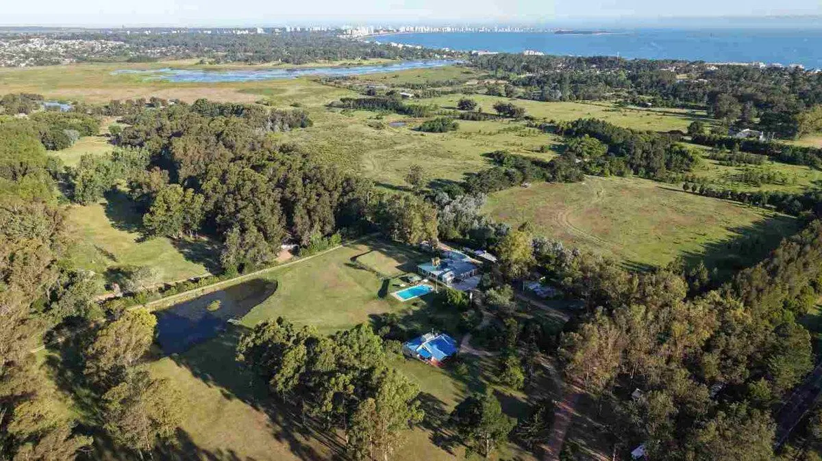 CHACRA DE 5 HECTAREAS EN VENTA EN PUNTA DEL ESTE. 3
