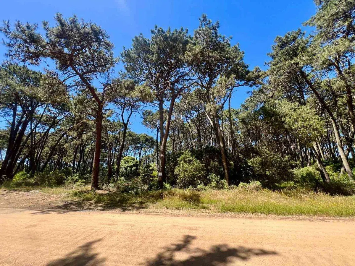 VENTA TERRENO DESARROLLO RINCON DEL INDIO 4