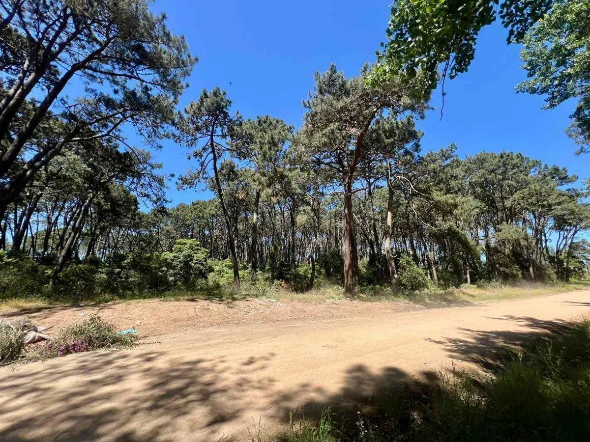VENTA TERRENO DESARROLLO RINCON DEL INDIO 5