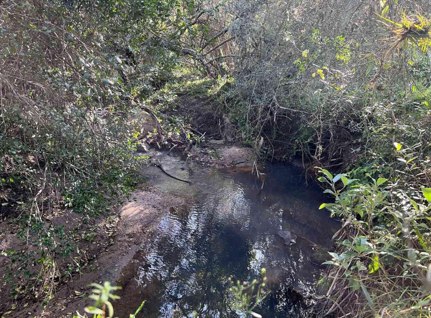 Foto de Campo en venta al norte de Garzón - Buen acceso, imagen 3