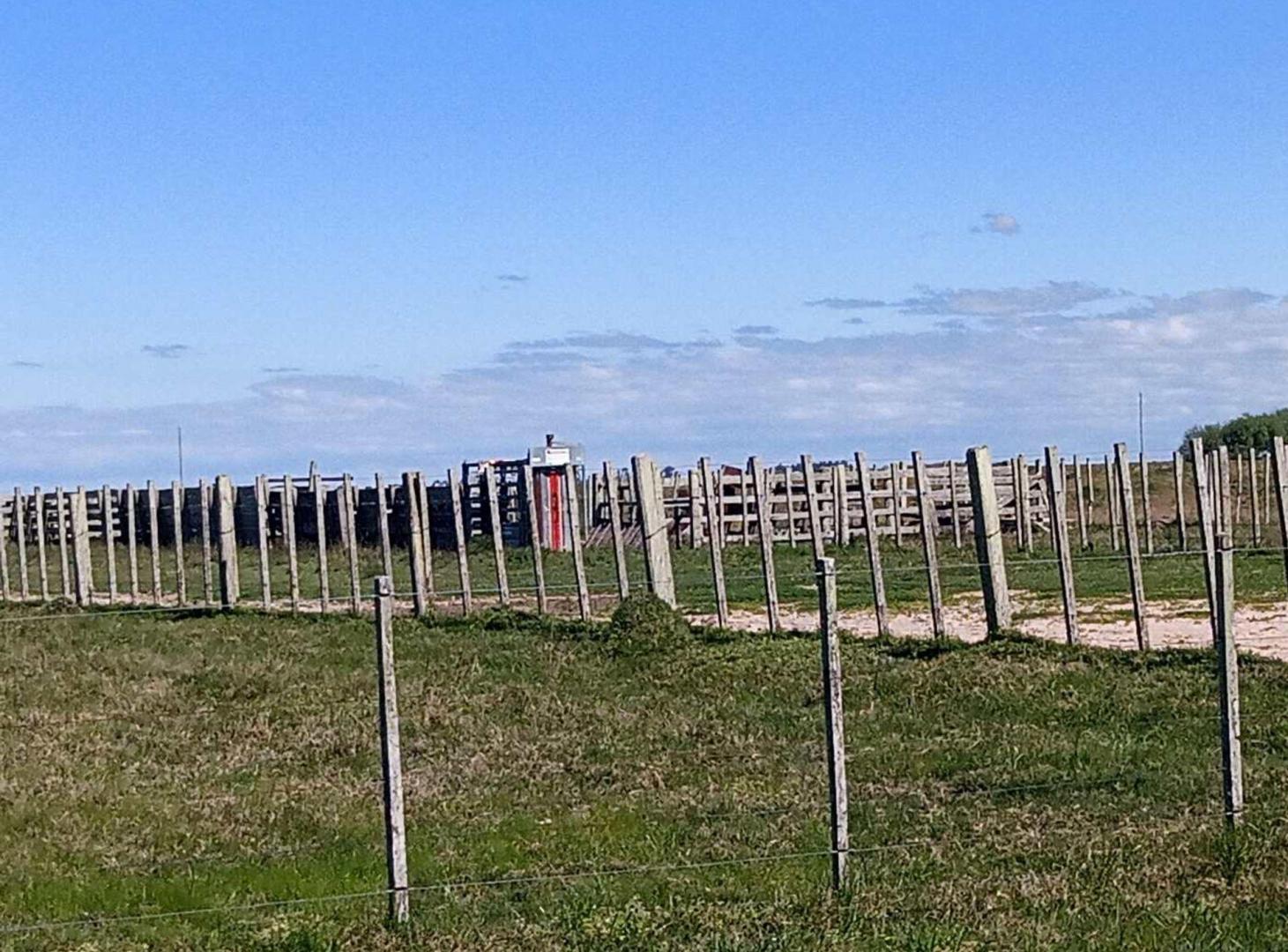 Foto de CAMPO EN VENTA URUGUAY, imagen 1