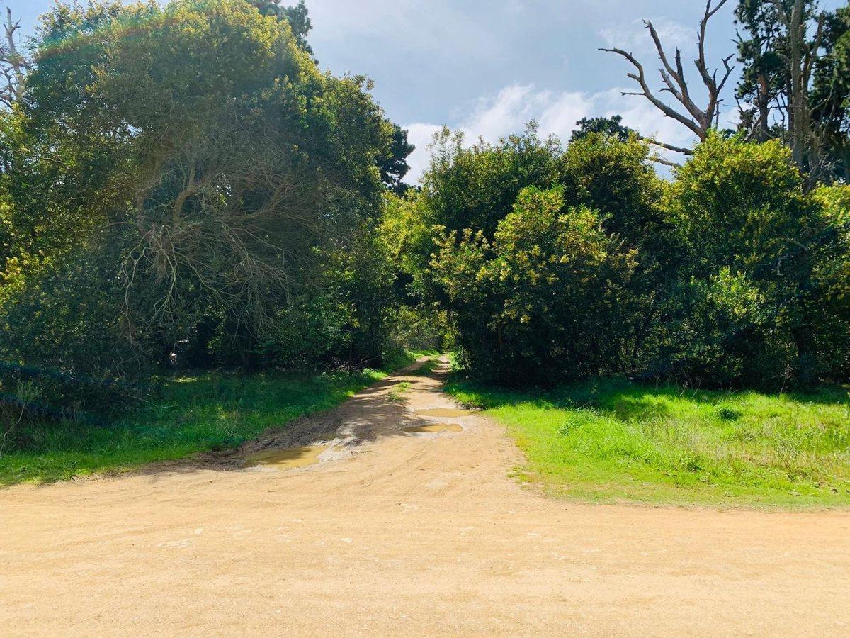 Foto de Venta Lote Rocha Santa Isabel de la Pedrera, imagen 5