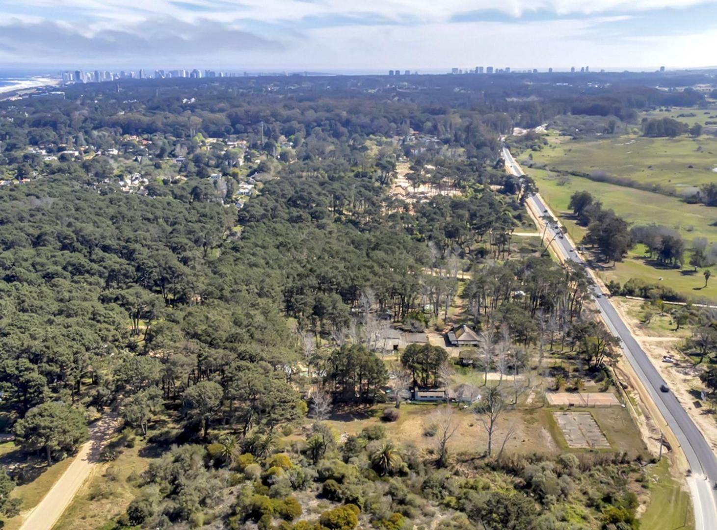 Foto de VENTA TERRENO PARA PROYECTO SAN RAFAEL MALDONADO, imagen 4