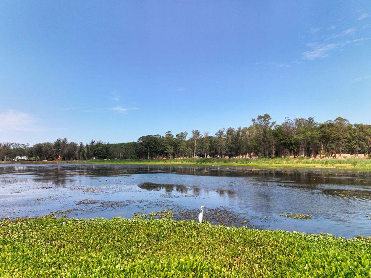 Foto de Reserva Montoya lotes en venta Barrio cerrado, imagen 5